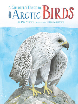 cover image of A Children's Guide to Arctic Birds